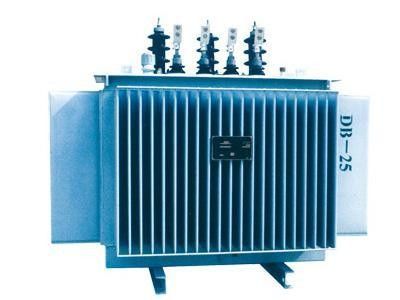 Transformator zanurzony w oleju S11 Transformator 3-fazowy 45 kVA
